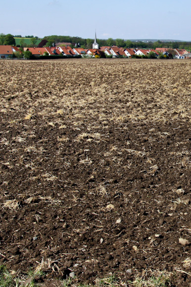 Demonstration von Gendreck-weg in Rodelheim/Kitzingen